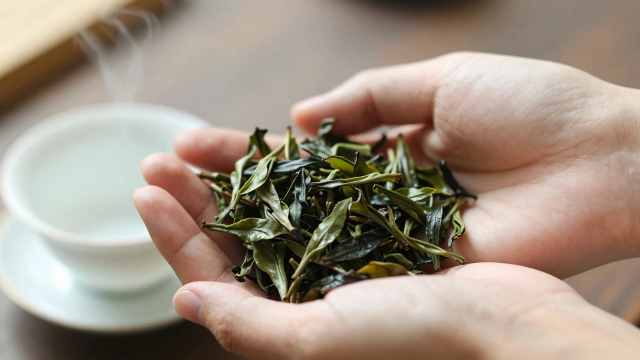 How to Taste Tea Correctly: A Step-by-Step Guide to Smell, Sip, and Appreciate Every Cup